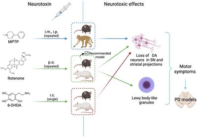 New insights in animal models of neurotoxicity-induced neurodegeneration